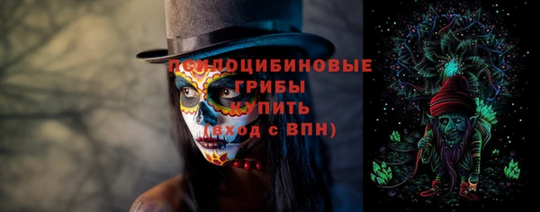 ешки Алексеевка