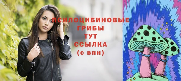 амфетамин Алексин