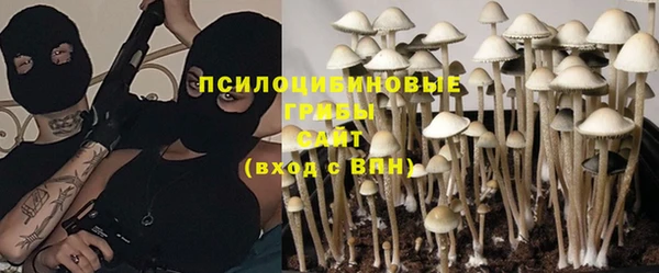 ешки Алексеевка
