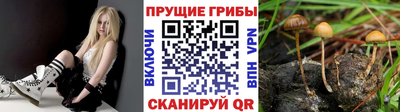 Псилоцибиновые грибы MAGIC MUSHROOMS  мега зеркало  Урай 